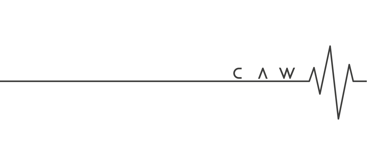 Caw Moda Masculina - Camisas, Camisetas e Bermudas